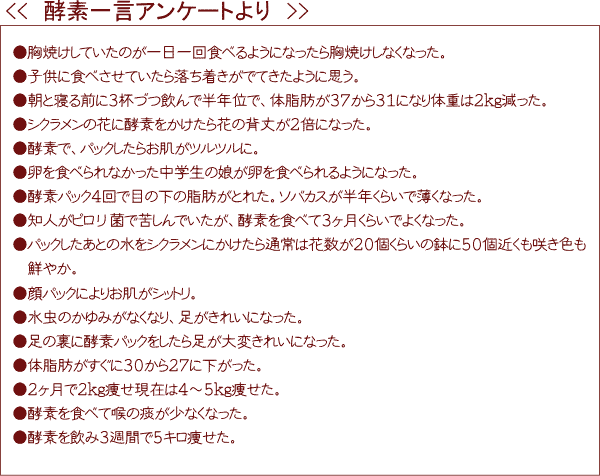 酵素乃泉