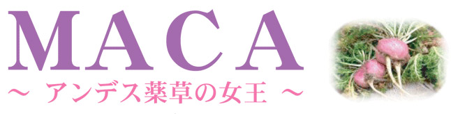 マカ(MACA)